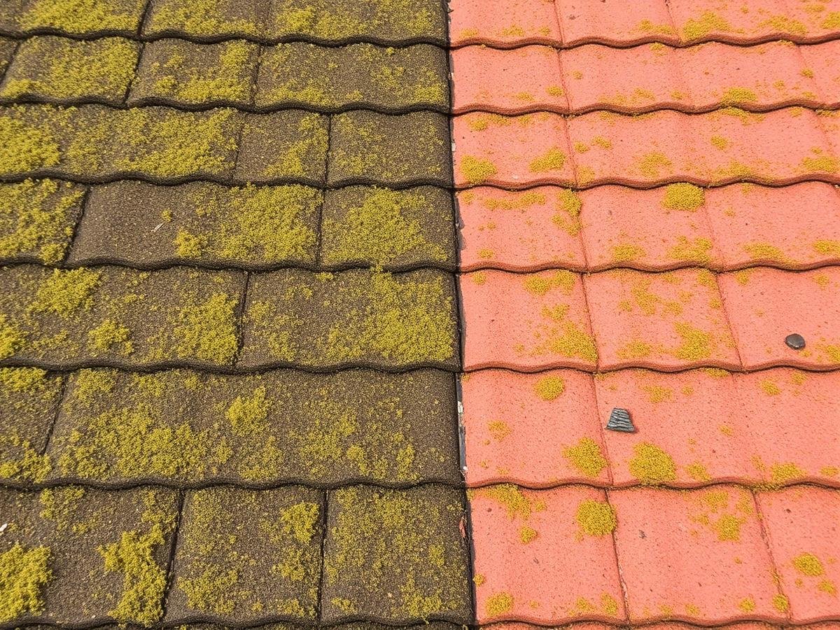 Roof tiles before and after moss removal